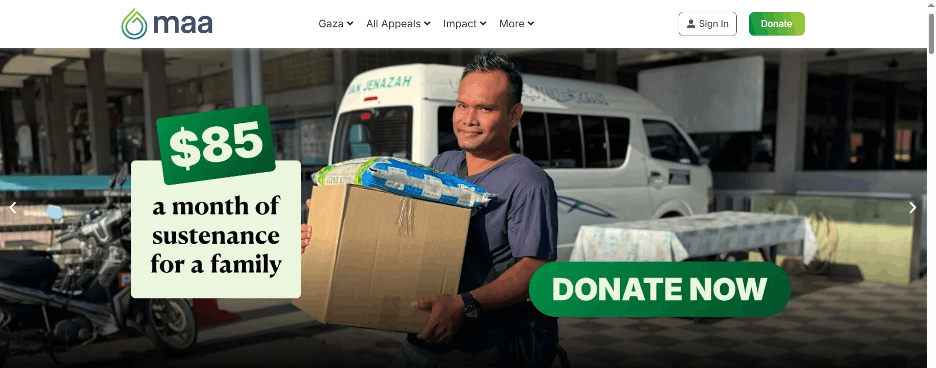 MAA International Website and Analytics